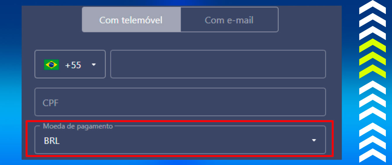Zip online