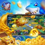 Esport net vip bet
